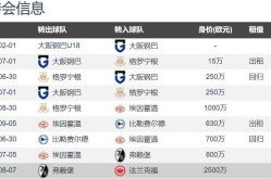 学校羽毛球训练计划与方案中超电竞规则介绍羽毛球训练计划详细安排表2024年国际比赛规则