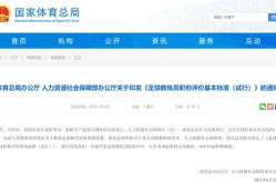 CSGO赛车战术分析羽毛球理论与实践中超电竞规则介绍